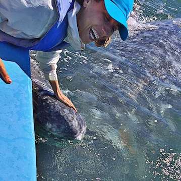 nautistyles laughing girl touching a baby whale in baja