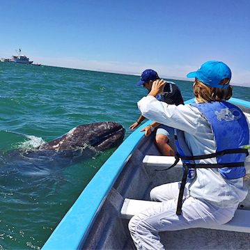 girl taking a photo of man touching a whale nautistyles