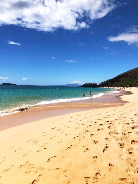 Makena Beach Maui Hawaii Nauytistyles whales