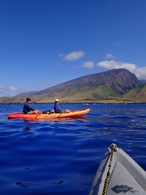 Maui Kayak Adventures Nautistyles hawaii whales