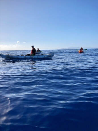 Maui kayak adventures whale watching hawaii nautistyles