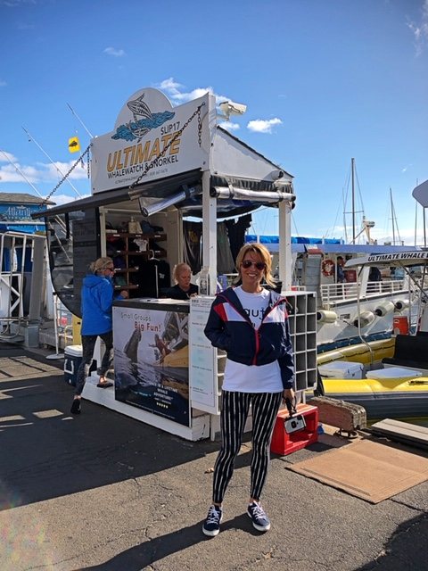 Ultimate Whale Watch Hawaii Maui NautistylesPicture